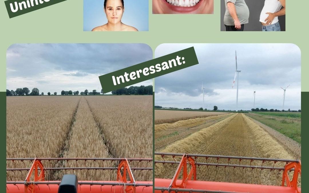 Für Landwirte ein klarer Fall, wo das Interesse liegt… 😉 #Ernte2025 #BeforeAfter #Landwirtschaft
