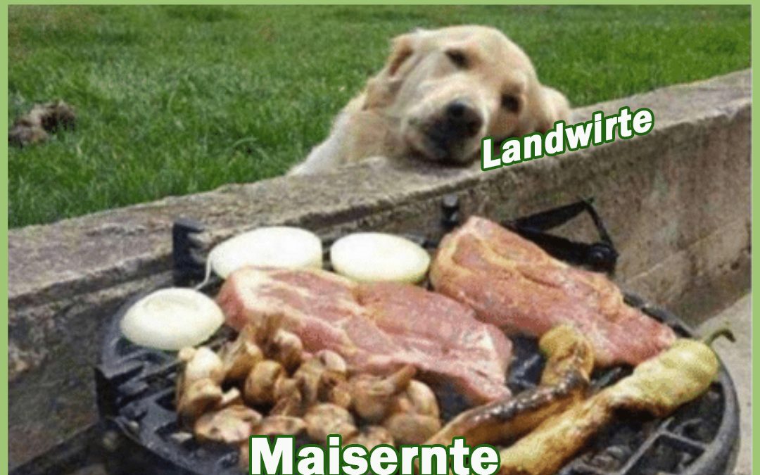 Das Warten fällt schwer… 🌽🌽🌽❤️&hellip;