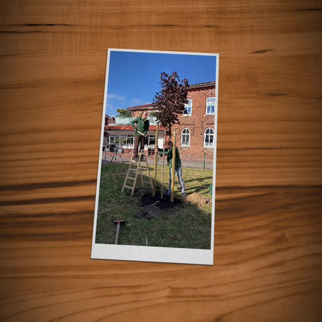 #baumpflanzchallenge: Alle von uns nominierten&hellip;