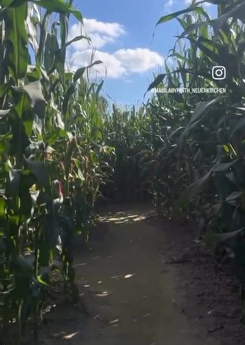 Wir sind euch noch das&hellip;