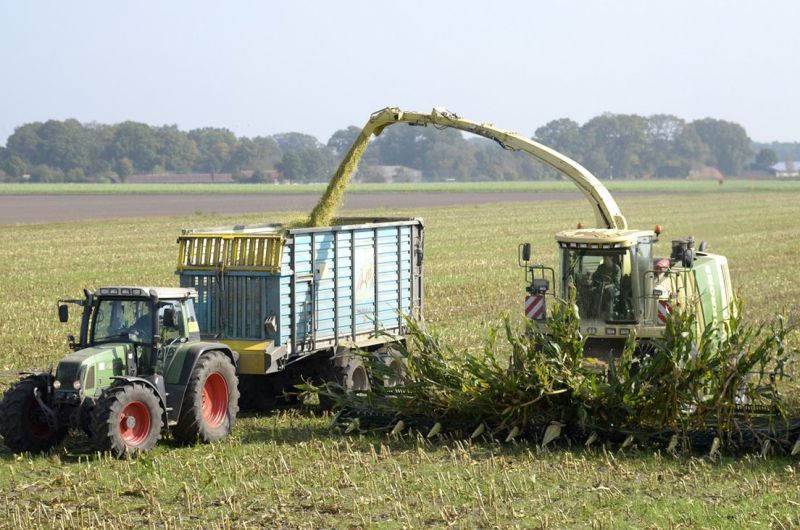 Nach der Getreideernte ist vor der Maisernte