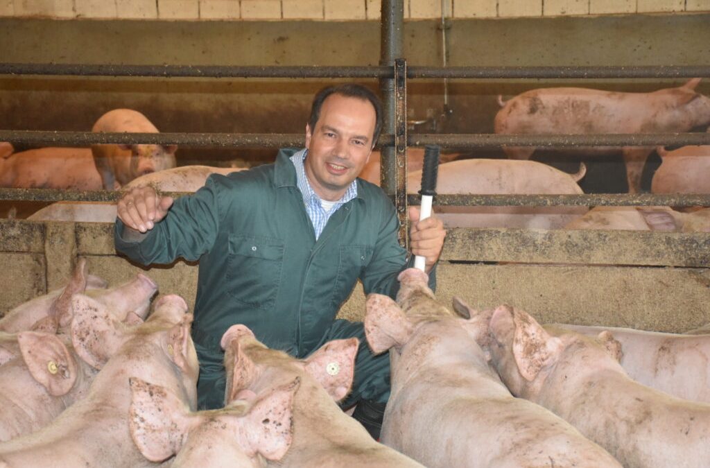 Landvolk: Ende des Bundesprogramms Umbau Tierhaltung ist ein fatales Signal