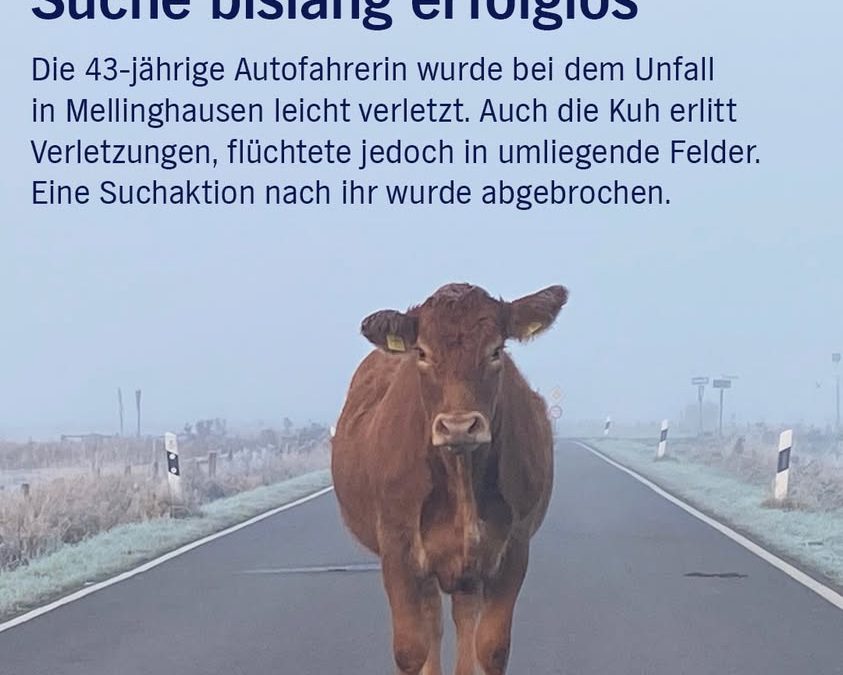 Hoffentlich wird das Tier noch&hellip;