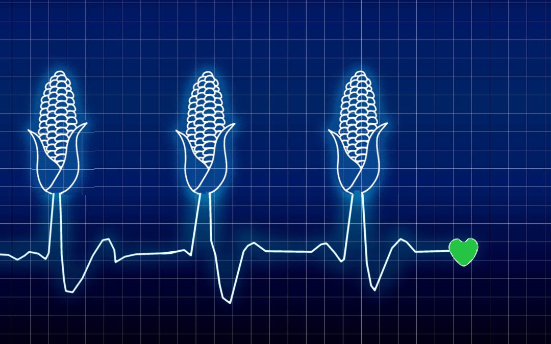 Es geht langsam wieder los!&hellip;