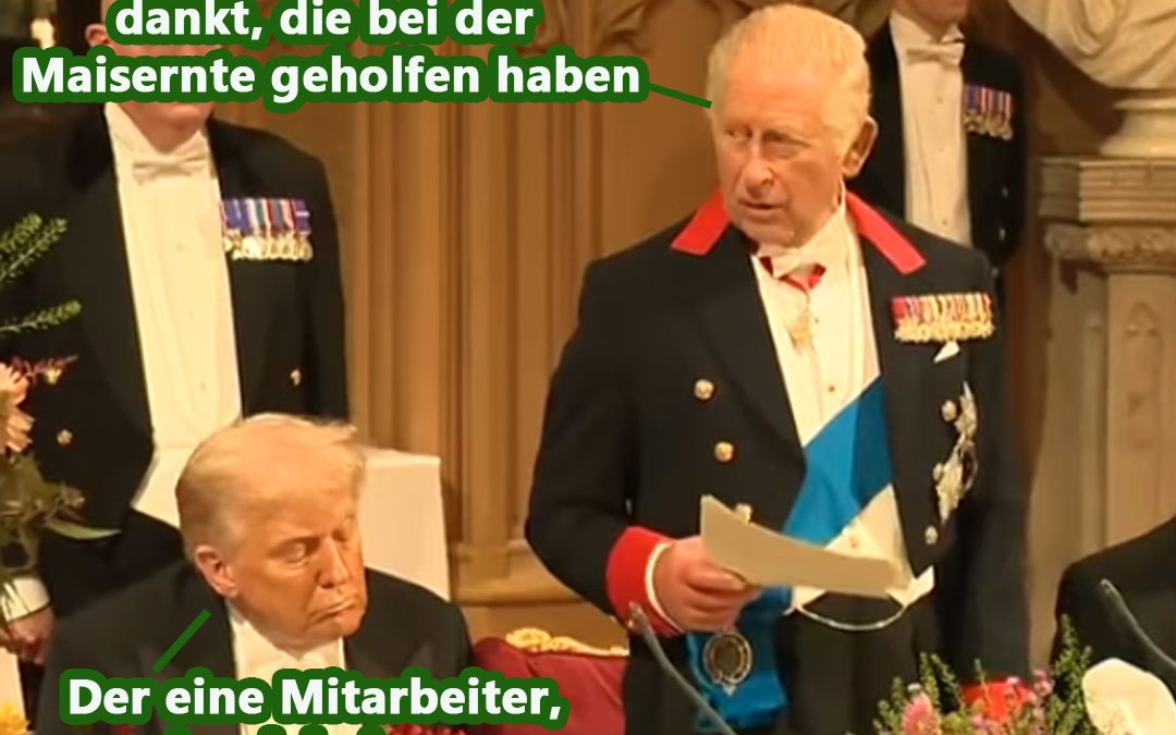 Wenn alle bei der Maisernte&hellip;
