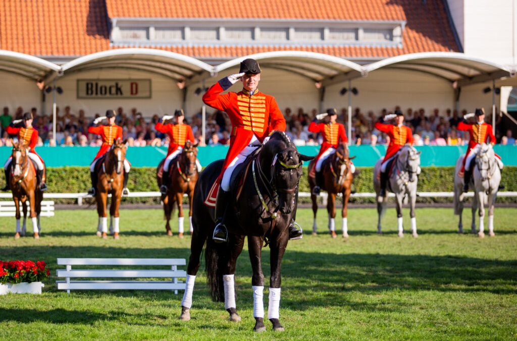 Tradition kehrt zurück: Neuauflage der Hengstparade