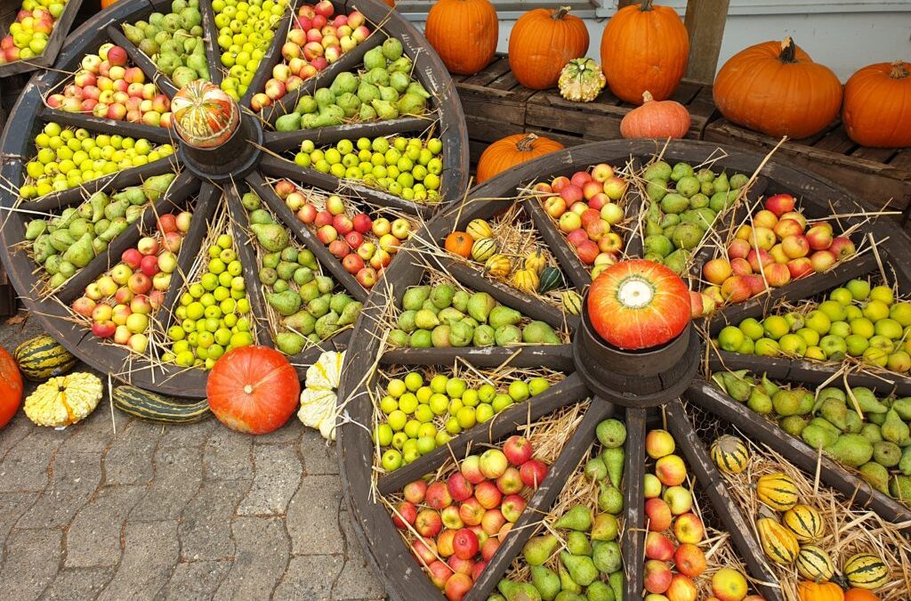 Erntezeit ist Feierzeit: Niedersachsen feiert Erntedank