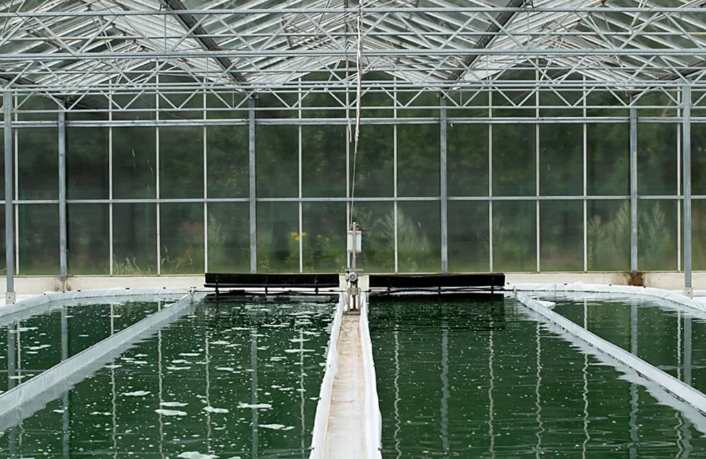 Lohnt sich der Einstieg in die Aquakultur?