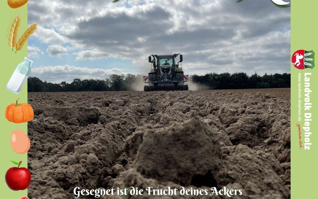 Dankbarkeit hilft, vieles nicht als&hellip;