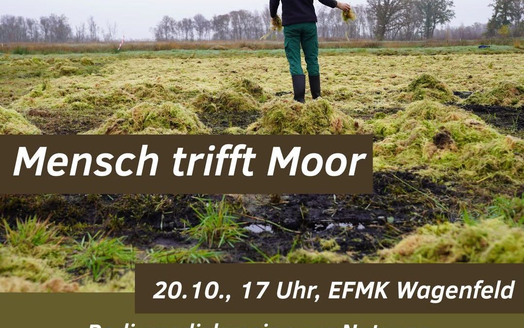 Wie kann Wertschöpfung auf wiedervernässten Moorflächen gelingen? Die Uni Osnabrück lädt zu diesem Thema zu einer Podium…