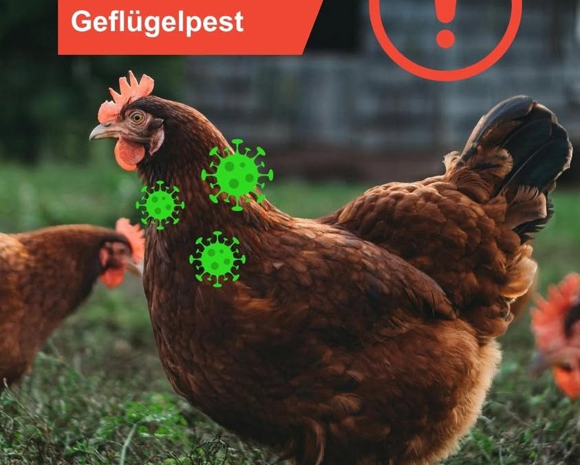 Schlechte Nachrichten aus dem Nordkreis.&hellip;