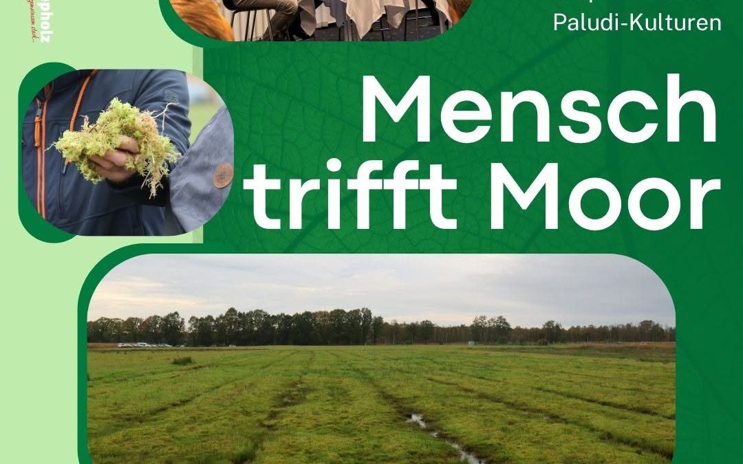 Trotz Moos nix los? Für eine nasse Moorbewirtschaftung über die Pilotprojekte hinaus müssen die Rahmenbedingungen deutli…