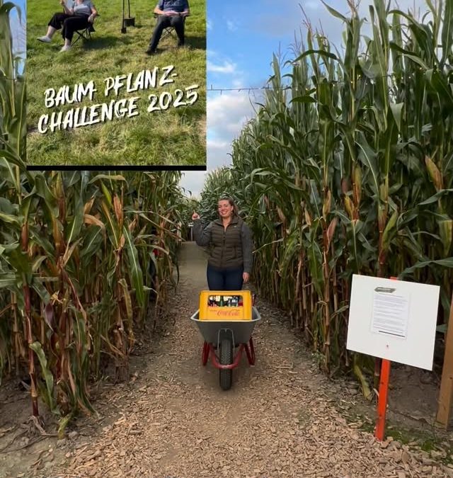 Throwback zu einem ganz besonderen Abend im Maislabyrinth Neuenkirchen @maislabyrinth_neuenkirchen 🌽💚 Eigentlich wollt…