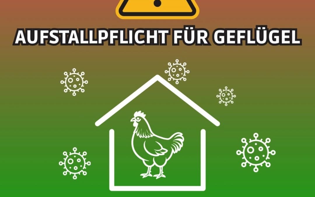 Ab heute gilt die Aufstallpflicht bis auf Widerruf.