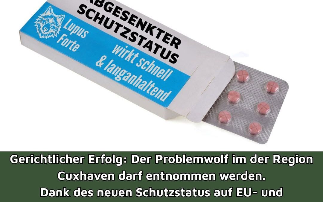 Wolfsmanagement kann beginnen! Bislang scheiterten Entnahmeanträge immer wieder vor Gericht. Jetzt wurde aber sowohl vor…