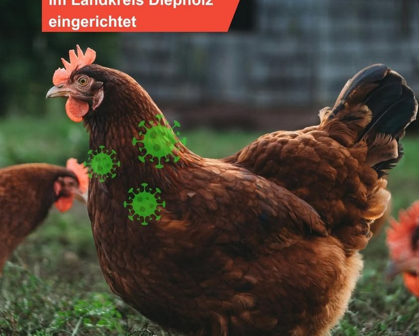 Ausbruch der Vogelgrippe in der&hellip;