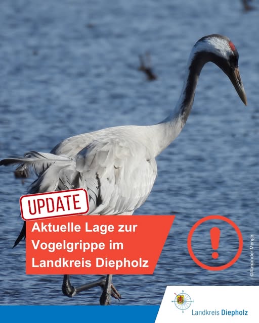 Die Gefahr der Vogelgrippe wird&hellip;