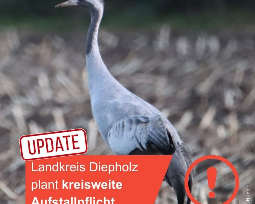 Die Aufstallpflicht für Geflügel für&hellip;