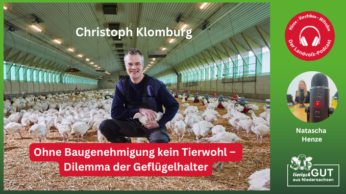 Dilemma der Geflügelhalter: Ohne Baugenehmigung kein Tierwohl