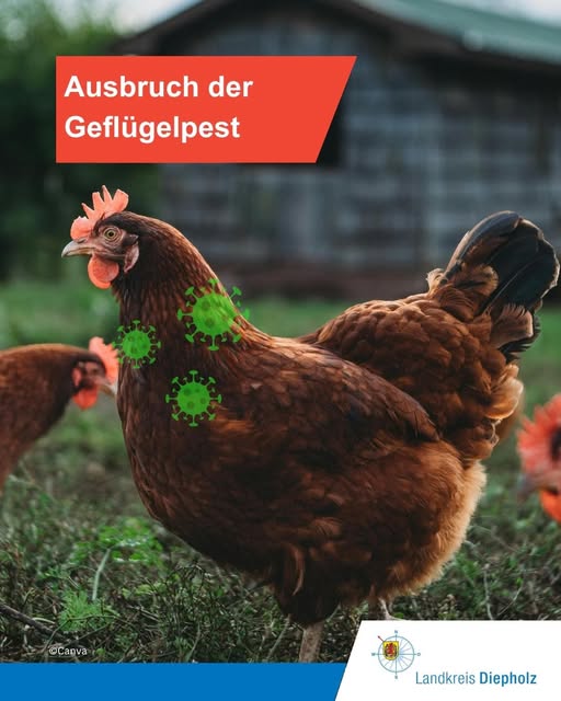 Leider noch ein Ausbruch in&hellip;