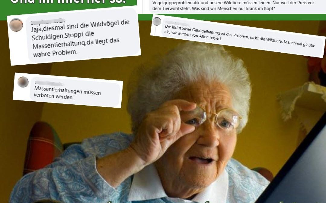 Die Kommentare zu den Vogelgrippefällen sind schon erstaunlich. Um es höflich auszudrücken… #Vogelgrippe #Landwirtscha…