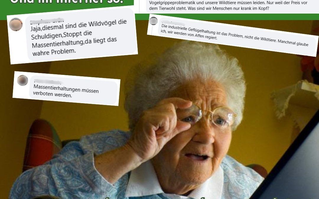 Die Kommentare zu den Vogelgrippefällen&hellip;