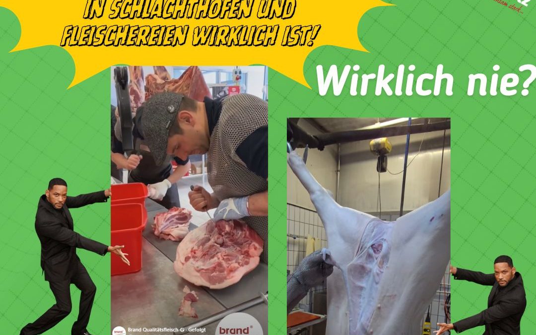 "Wenn Schlachthäuser Wände aus Glas&hellip;