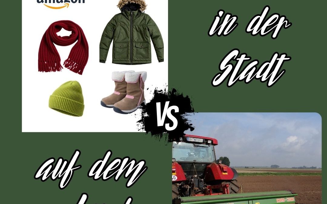 Herbstbestellung mit AMAZON mit und&hellip;