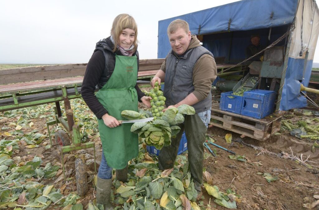 Wintergemüse wärmt Leib und Seele