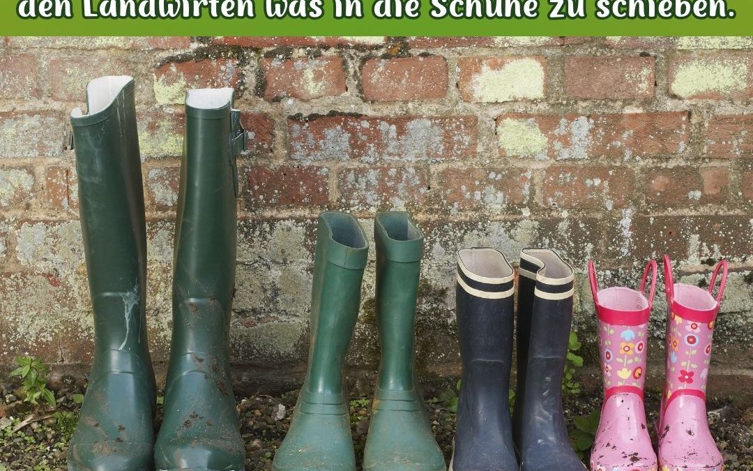 Für so vieles soll die…