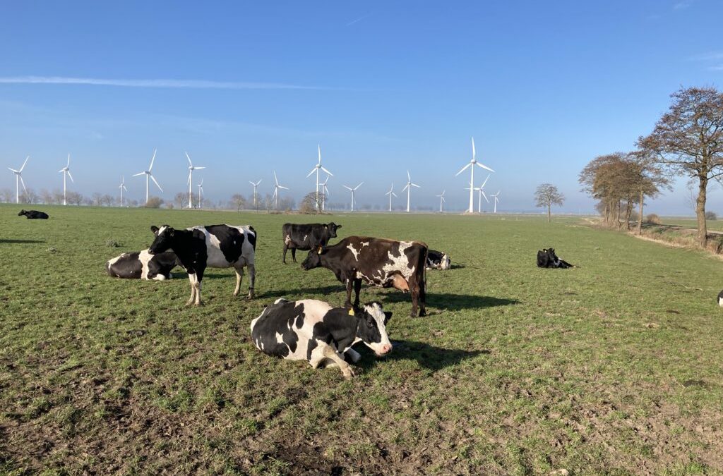 Kreislaufwirtschaft im „1×1 der Landwirtschaft“