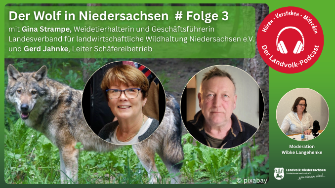 <a href="https://landvolk.net/lpdartikel/der-wolf-verdraengt-die-weidetierhaltung/" target="_blank">Der Wolf verdrängt die Weidetierhaltung</a>