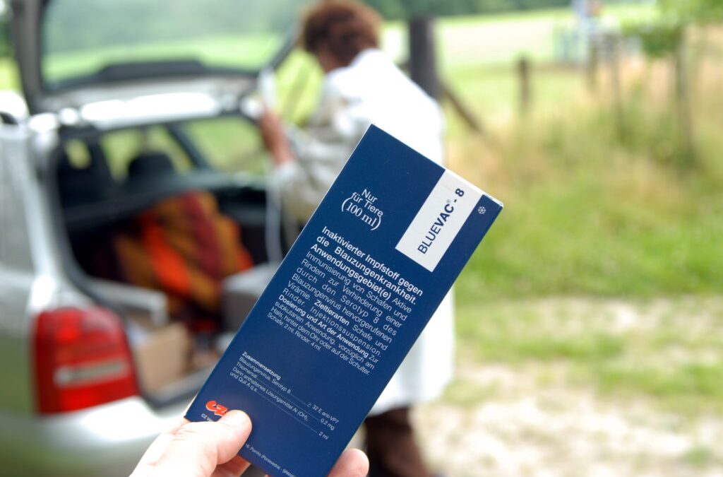 Jetzt gegen das Virus der Blauzungenkrankheit impfen