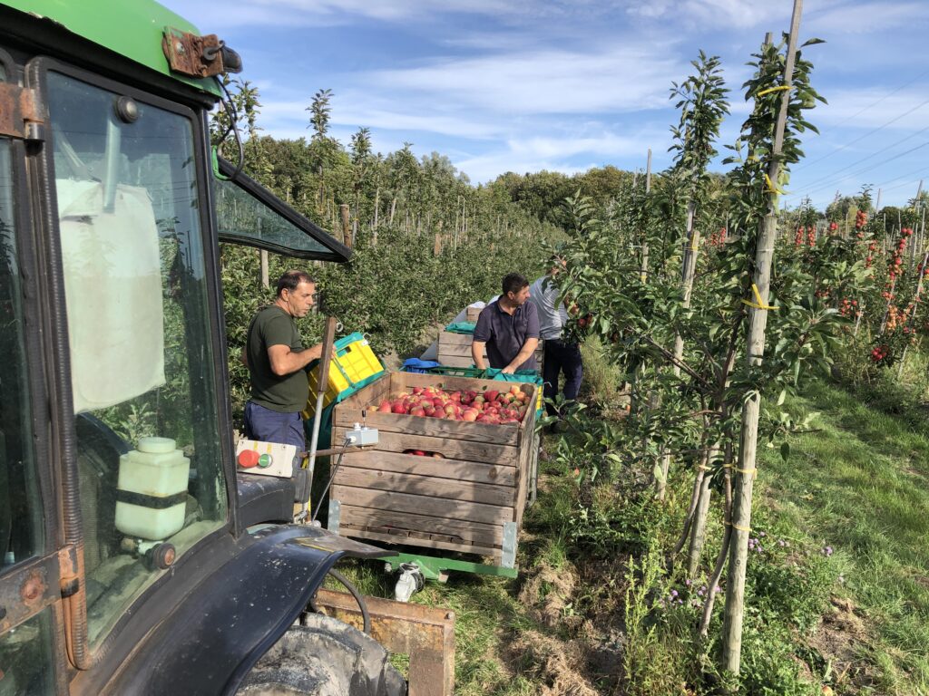 <a href="https://landvolk.net/lpdartikel/mindestlohn-sonderregelung-fuer-saisonarbeitskraefte-ist-zulaessig/" target="_blank">Mindestlohn: Sonderregelung für Saisonarbeitskräfte ist zulässig</a>