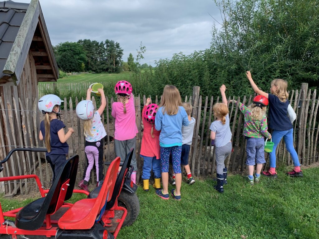 <a href="https://landvolk.net/lpdartikel/bauernhofferien-gesund-essen-lernen-im-urlaub/" target="_blank">Bauernhofferien: Gesund essen lernen im Urlaub</a>