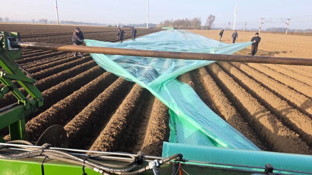 <a href="https://landvolk.net/lpdartikel/fruehkartoffeln-erste-knollen-liegen-in-der-erde/" target="_blank">Frühkartoffeln: Erste Knollen liegen in der Erde</a>