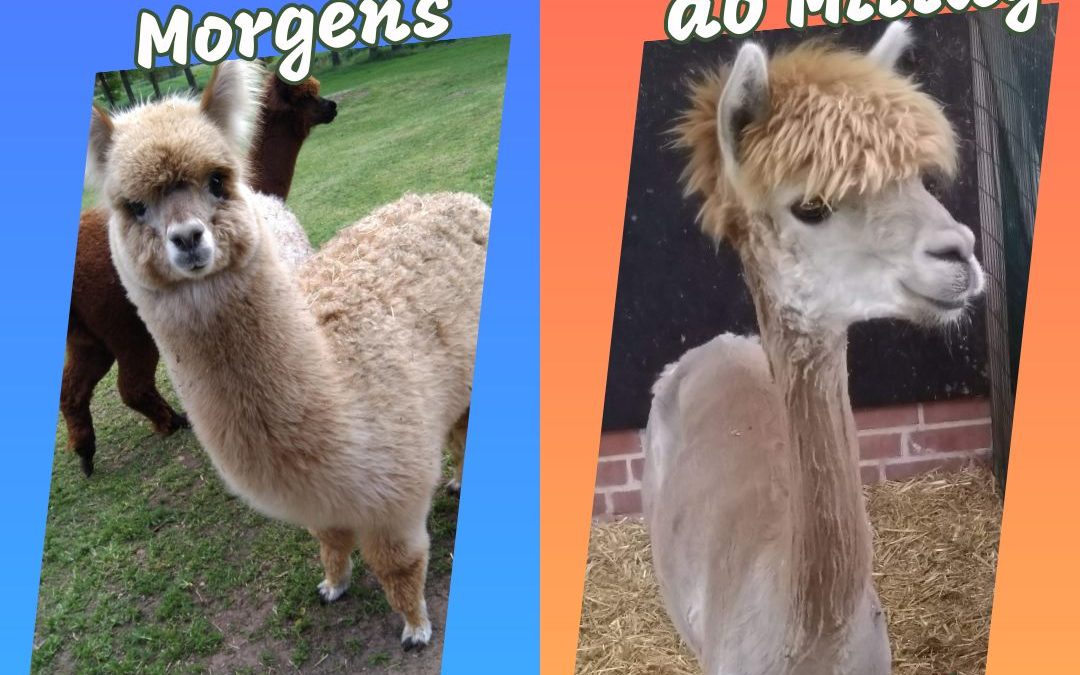 Zu kalt… zu warm… wer&hellip;