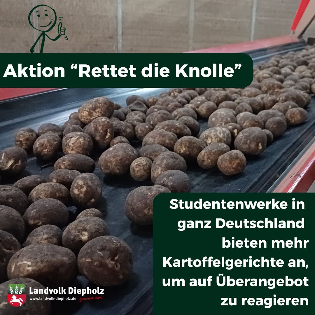<a href="https://www.instagram.com/p/DVshP1BEtPN" target="_blank">Gute Aktion, angestoßen vom Studentenwerk in Frankfurt am Main: Als Reaktion auf das momentane Überangebot an Kartoffeln…</a>