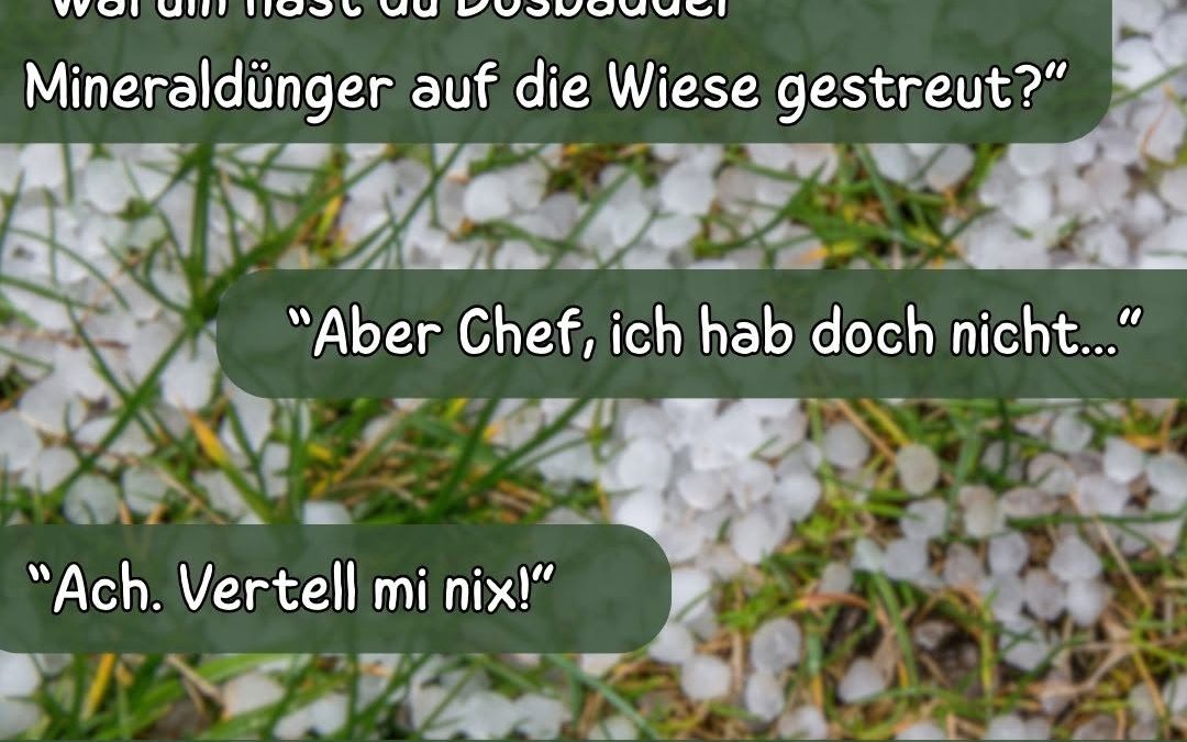 Wenn der Chef Hagel 🌨️ und Donnerwetter 🌩️ nicht mitkriegt, kann es danach doch ein Donnerwetter der anderen Art für d…