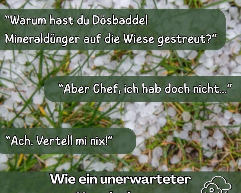 Wenn der Chef Hagel 🌨️&hellip;