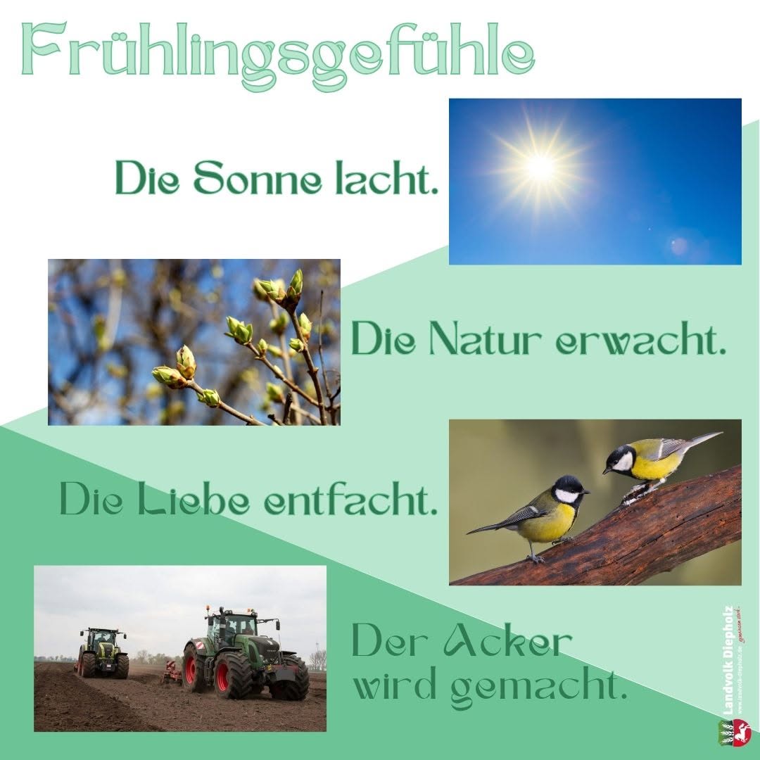 <a href="https://www.instagram.com/p/DWGlwunDnXG" target="_blank">Frühlingsgedicht vom Land! 🌞🪻❤️🚜 #Frühling #NochnenGedicht #Landwirtschaft</a>