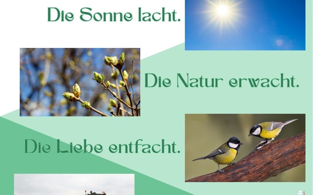 Frühlingsgedicht vom Land! 🌞🪻❤️🚜 #Frühling&hellip;
