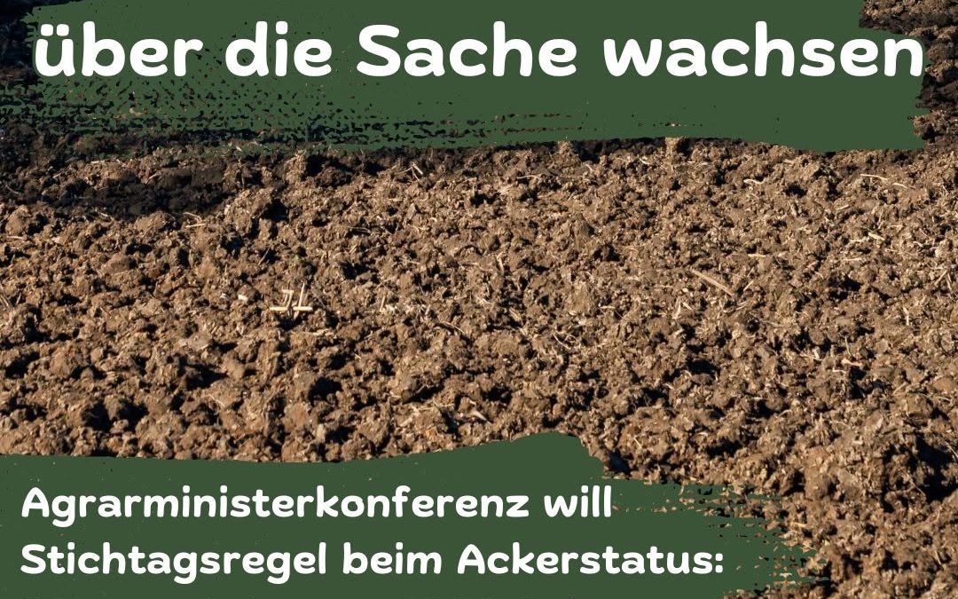 Gute Nachrichten: Die Agrarministerkonferenz hat sich für die Nutzung der Stichtagsregelung beim Ackerstatus ausgesproch…