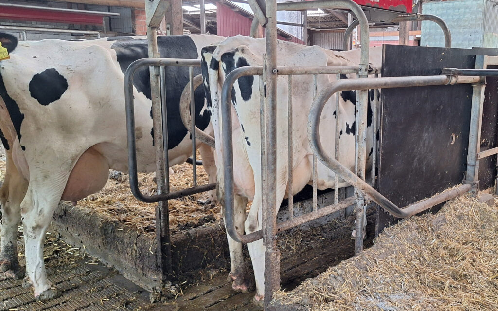 <a href="https://landvolk.net/lpdartikel/starkes-signal-fuer-eine-abgesicherte-klimastrategie/" target="_blank">Starkes Signal für eine abgesicherte Klimastrategie</a>