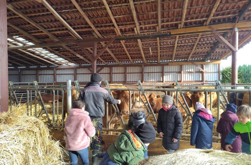 Bauernhof statt Klassenzimmer