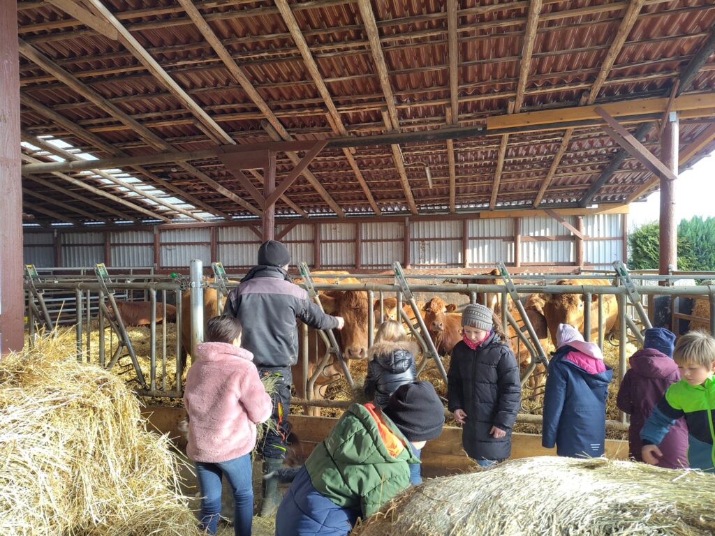 <a href="https://landvolk.net/lpdartikel/bauernhof-statt-klassenzimmer/" target="_blank">Bauernhof statt Klassenzimmer</a>