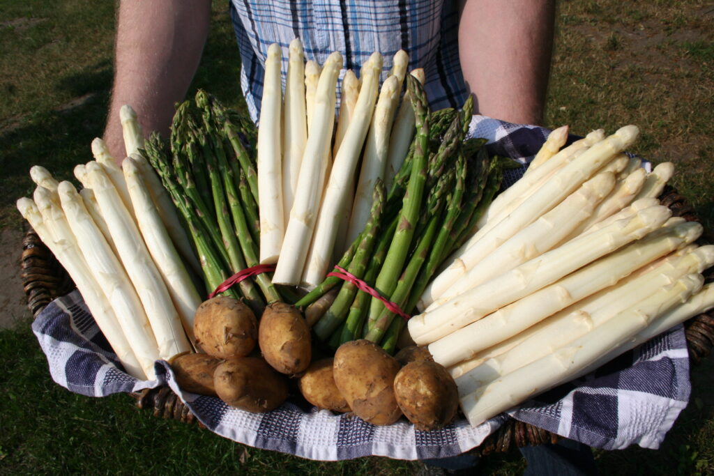 <a href="https://landvolk.net/lpdartikel/so-schmeckt-ostern-eier-spargel-und-lamm/" target="_blank">So schmeckt Ostern: Eier, Spargel und Lamm</a>
