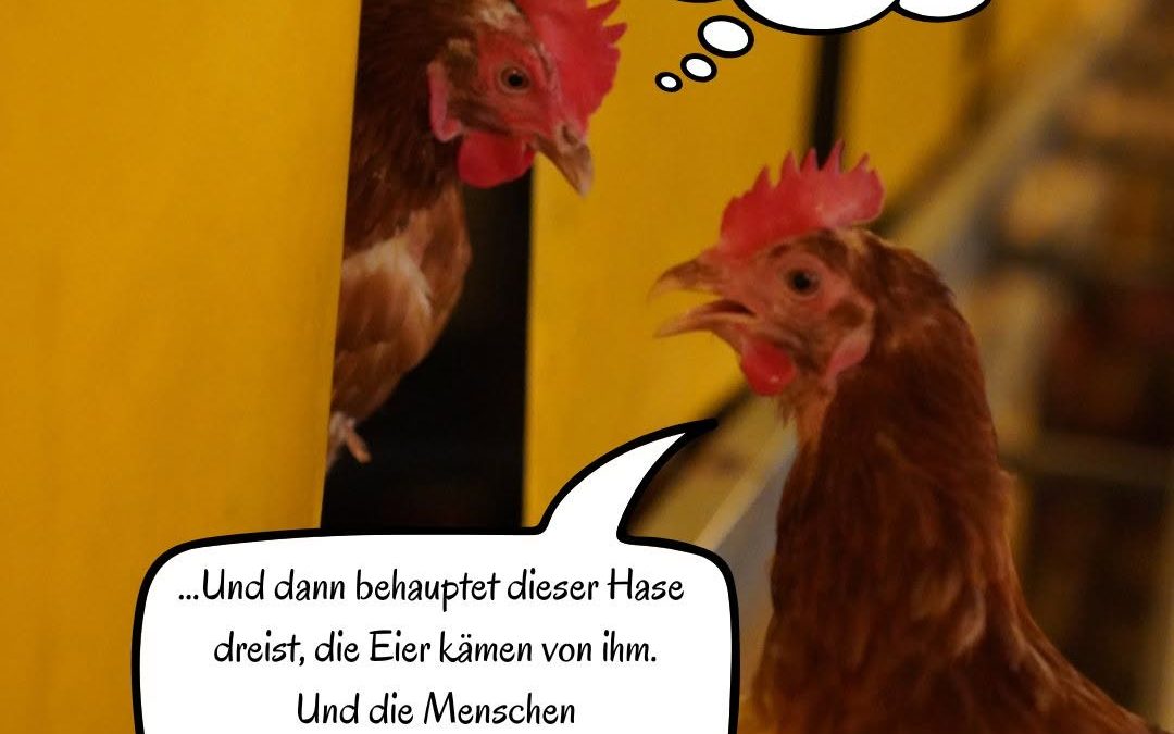 🐰Wie so oft werden die eigentlichen Erzeuger vergessen… 😥 #Ostereier #Ostern #Hühner #Chickencontent