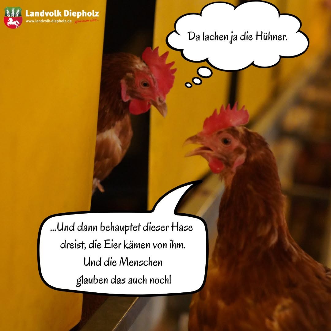 <a href="https://www.instagram.com/p/DWsxc-2gEKv" target="_blank">🐰Wie so oft werden die eigentlichen Erzeuger vergessen… 😥 #Ostereier #Ostern #Hühner #Chickencontent</a>