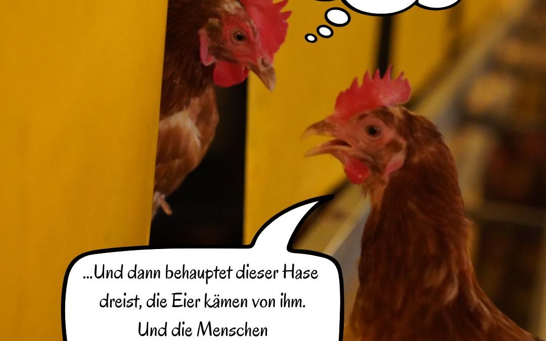 🐰Wie so oft werden die&hellip;